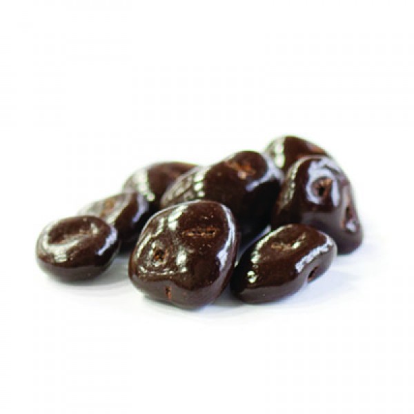 Canneberge chocolat noir 100g 